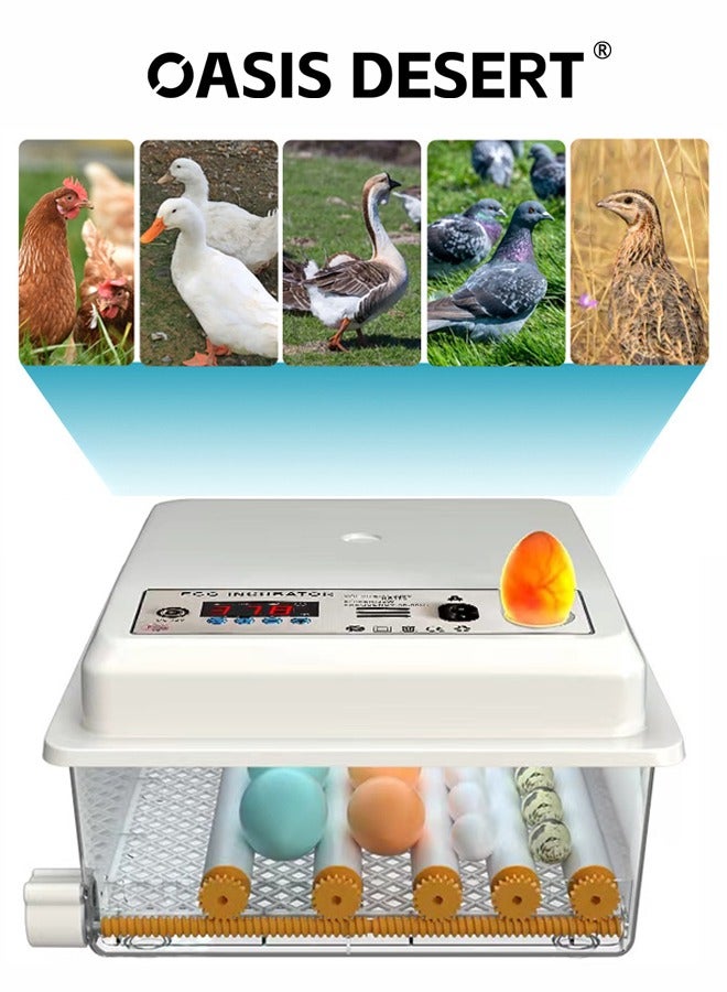 صحراء الواحة حاضنة صغيرة منزلية تحول آلي للبيض آلة ذكية لتفقيس البيض شاشة رقمية التحكم في درجة الحرارة والرطوبة المستخدمة في تفقيس الدجاج والبط والأوز إلخ - Image 1