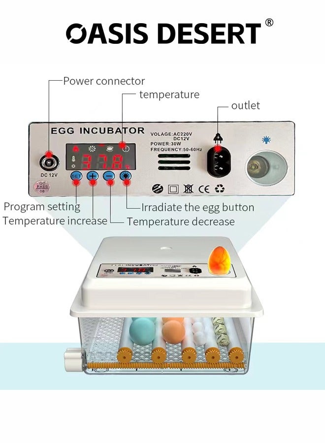 صحراء الواحة حاضنة صغيرة منزلية تحول آلي للبيض آلة ذكية لتفقيس البيض شاشة رقمية التحكم في درجة الحرارة والرطوبة المستخدمة في تفقيس الدجاج والبط والأوز إلخ - Image 2