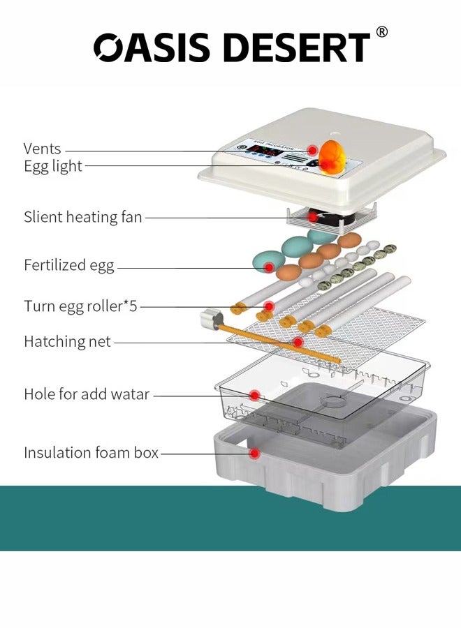 صحراء الواحة حاضنة صغيرة منزلية تحول آلي للبيض آلة ذكية لتفقيس البيض شاشة رقمية التحكم في درجة الحرارة والرطوبة المستخدمة في تفقيس الدجاج والبط والأوز إلخ - Image 3