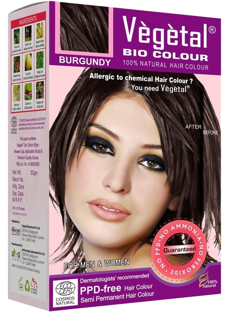 فيجيتال صبغة شعر نباتية عضوية - عنابي 50 غرام. احصلي على لون شعر طبيعي، خالٍ من الأمونيا، خالٍ من مادة PPD، 100% أعشاب عضوية معتمدة للرجال والنساء. حماية من الأشعة فوق البنفسجية، والحفاظ على لمعان الشعر. مجموعة كاملة - Image 1