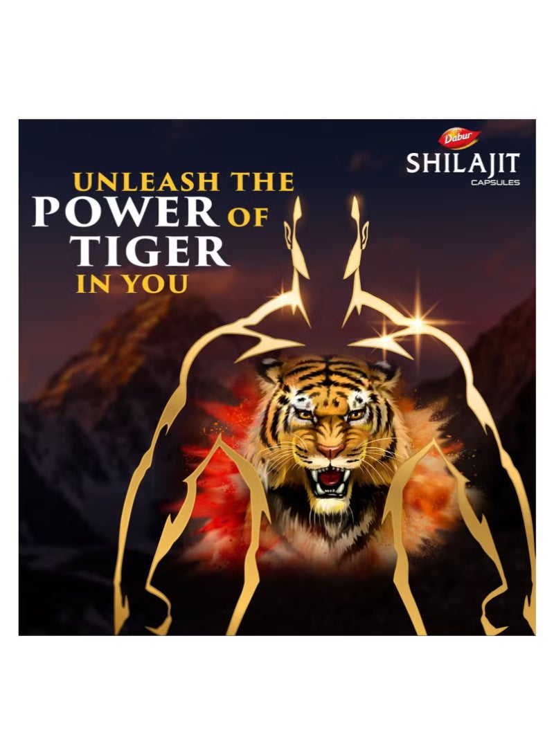 Dabur شيلجيت 30 كبسولة عبوة من 3 - Image 2