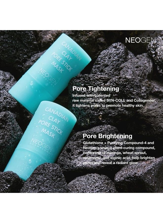 Pore Clarifying Clay Mask - Minimizes Enlarged Pores Blackheads and Excess Sebum (Stick mask)