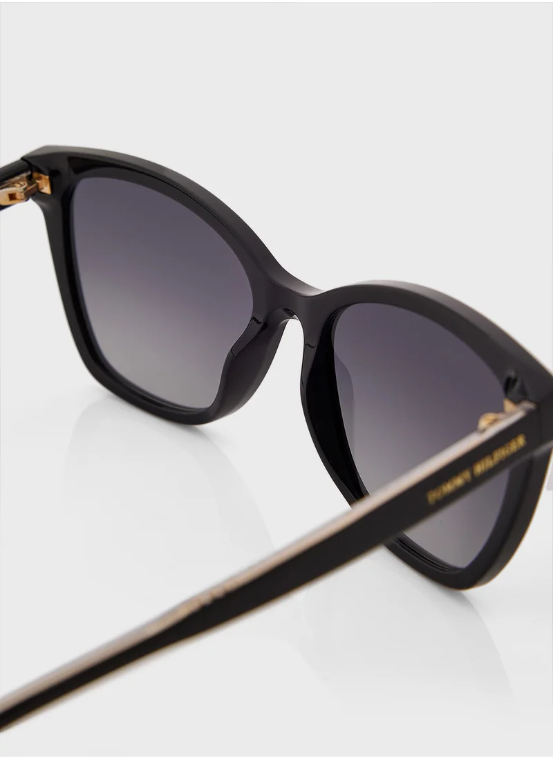 TOMMY HILFIGER Th 1981/S Wayfarers Sunglasses