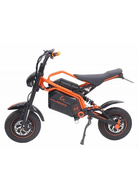 Wish R2 Electric Bike, Maximum speed 70 km/h |  Range 90-95km | Max Load 160 kg