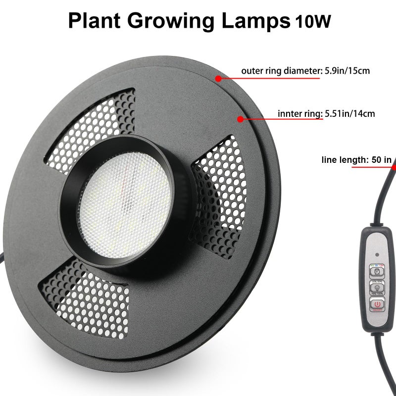 AREPK Desktop Glass Plant Terrarium with Grow Light(L7.8 W7.8 H14), for Succulent, Moss, Miniature Gardening Landscape, Betta Fish Tank, Indoor Plant Growth, Office Home Decoration (TimeControlled) - Image 3