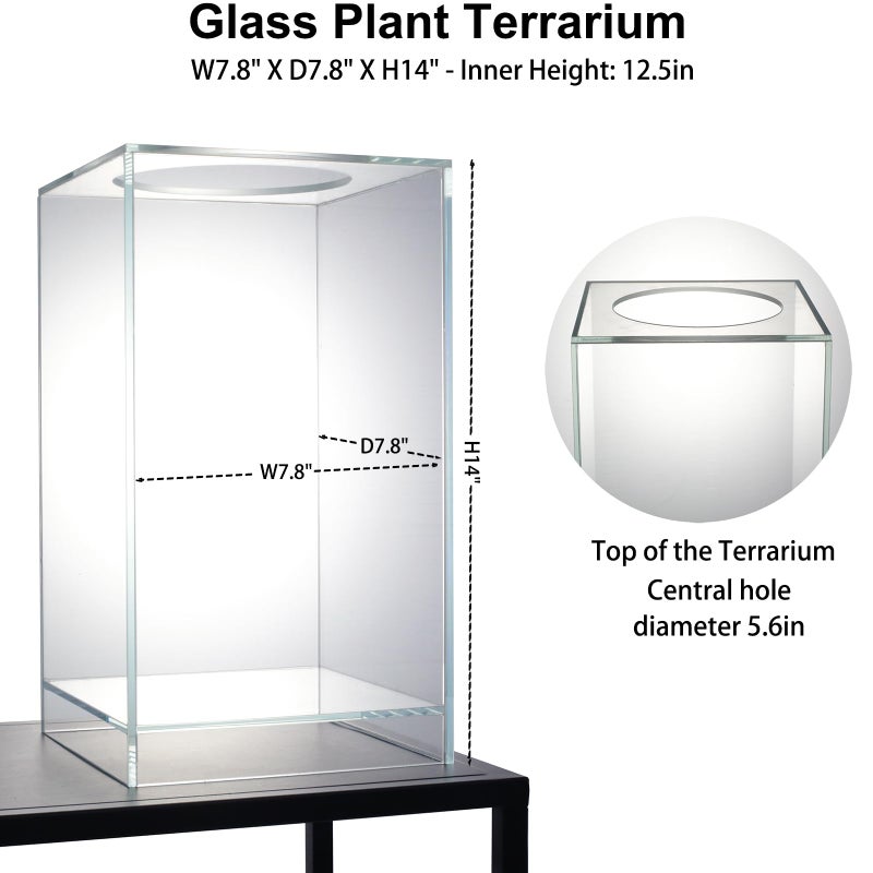 AREPK Desktop Glass Plant Terrarium with Grow Light(L7.8 W7.8 H14), for Succulent, Moss, Miniature Gardening Landscape, Betta Fish Tank, Indoor Plant Growth, Office Home Decoration (TimeControlled) - Image 4