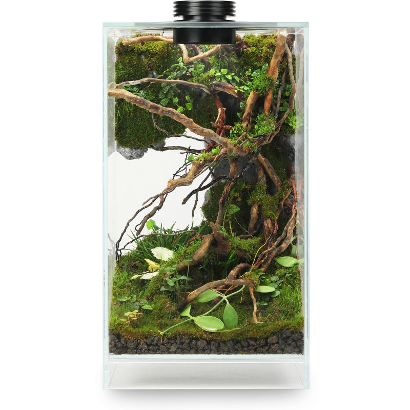AREPK Desktop Glass Plant Terrarium with Grow Light(L7.8 W7.8 H14), for Succulent, Moss, Miniature Gardening Landscape, Betta Fish Tank, Indoor Plant Growth, Office Home Decoration (TimeControlled) - Image 1