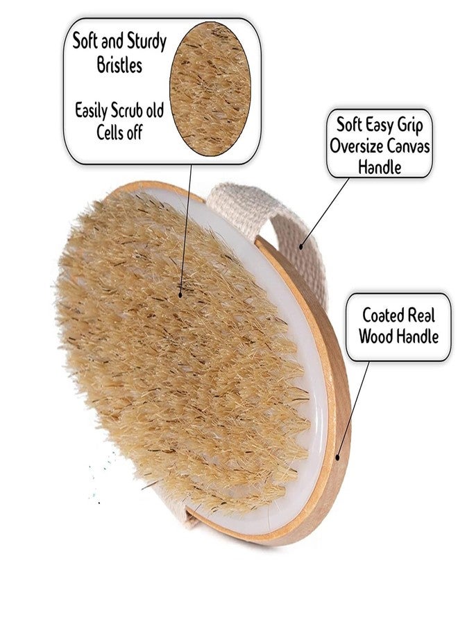 Timbuk2 Dry Brushing Body Brush, Natural Bristle Dry Skin Exfoliating Brush Body Scrub for Flawless Skin, Cellulite Treatment, Lymphatic Drainage and Blood Circulation Improvement, Medium Strength - Image 3