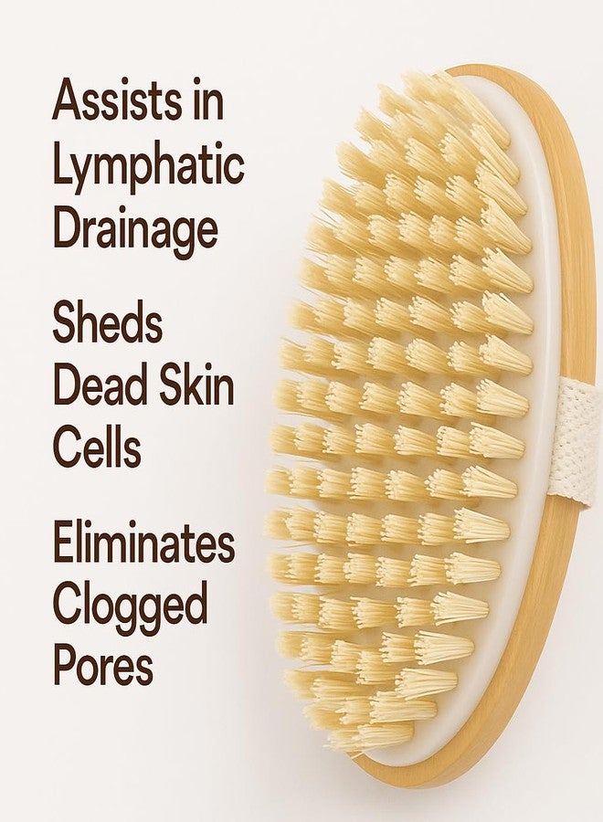Timbuk2 Dry Brushing Body Brush, Natural Bristle Dry Skin Exfoliating Brush Body Scrub for Flawless Skin, Cellulite Treatment, Lymphatic Drainage and Blood Circulation Improvement, Medium Strength - Image 2