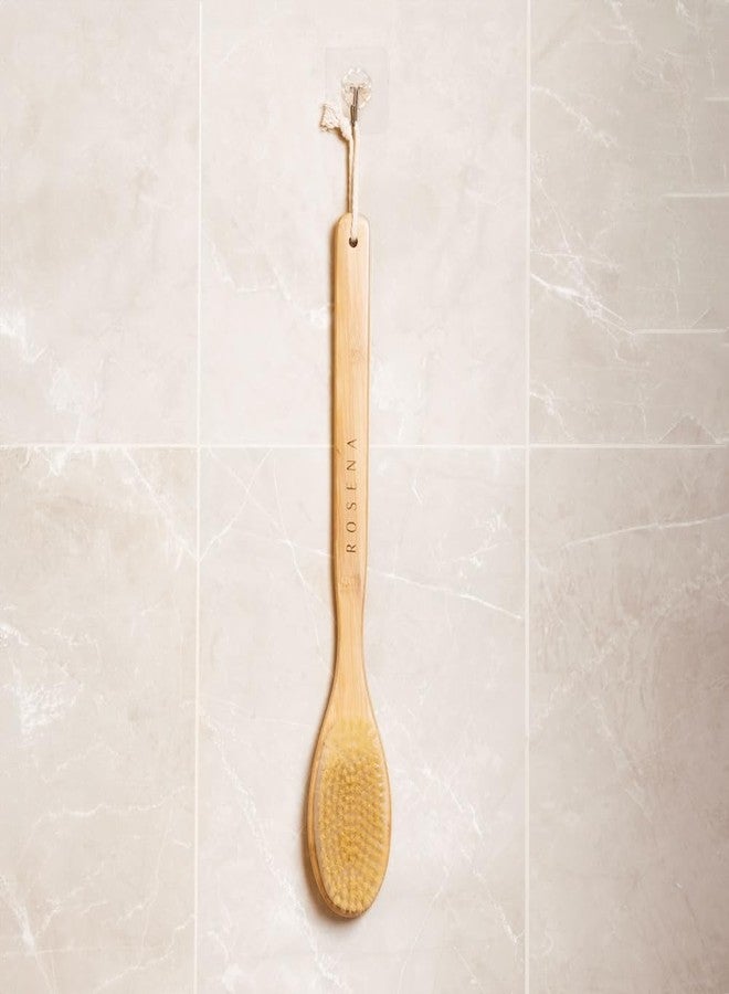 rosena Premium Shower Brush with Long Handle – One-Piece Solid Design – Soft Natural Bristles – for Wet and Dry Brushing – Natural Skin Exfoliation and Glow - Image 5