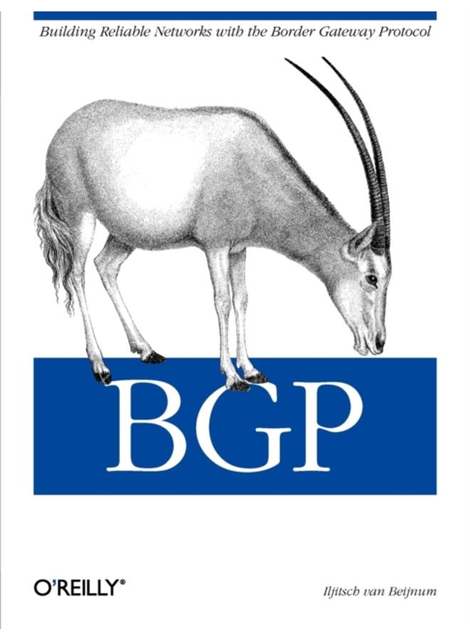 BGP : Building Reliable Networks with Border Gateway Protocol 