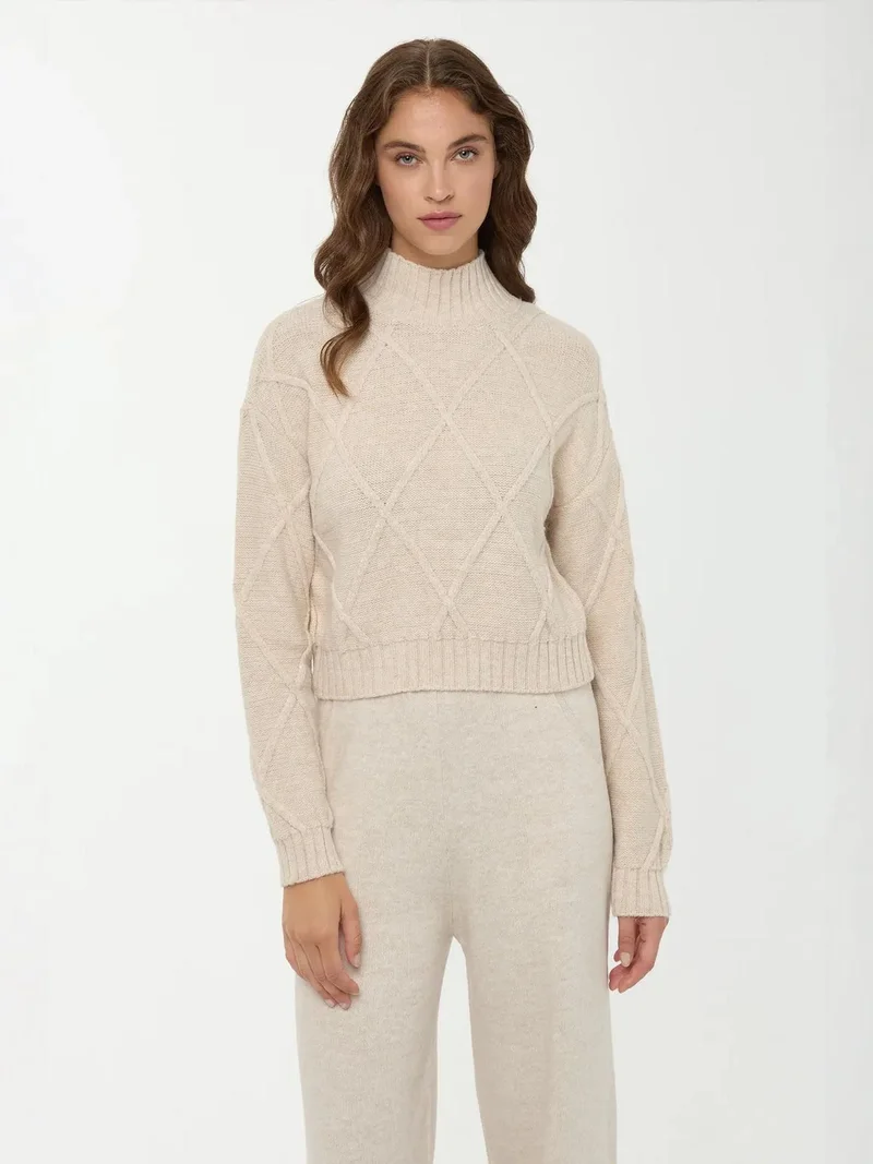Textured Half Turtleneck Knit Sweater