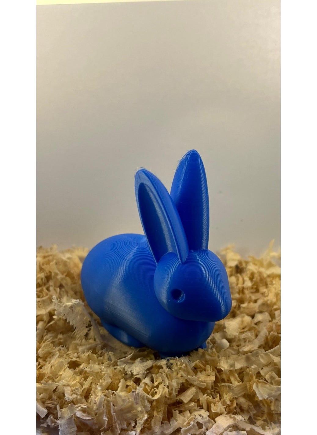 Epm3d Rabbit(Made from Organic Plastic)  - Image 1