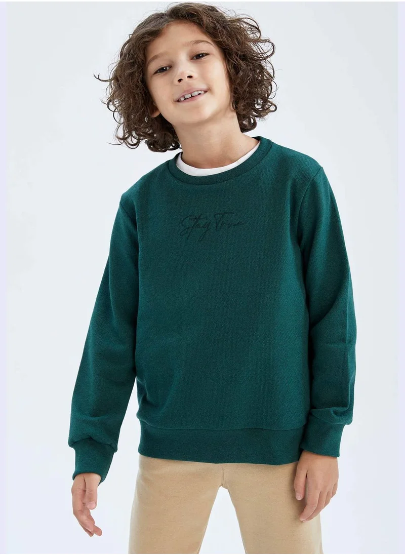 DeFacto Boy Regular Fit Crew Neck Long Sleeve Knitted Sweatshirt