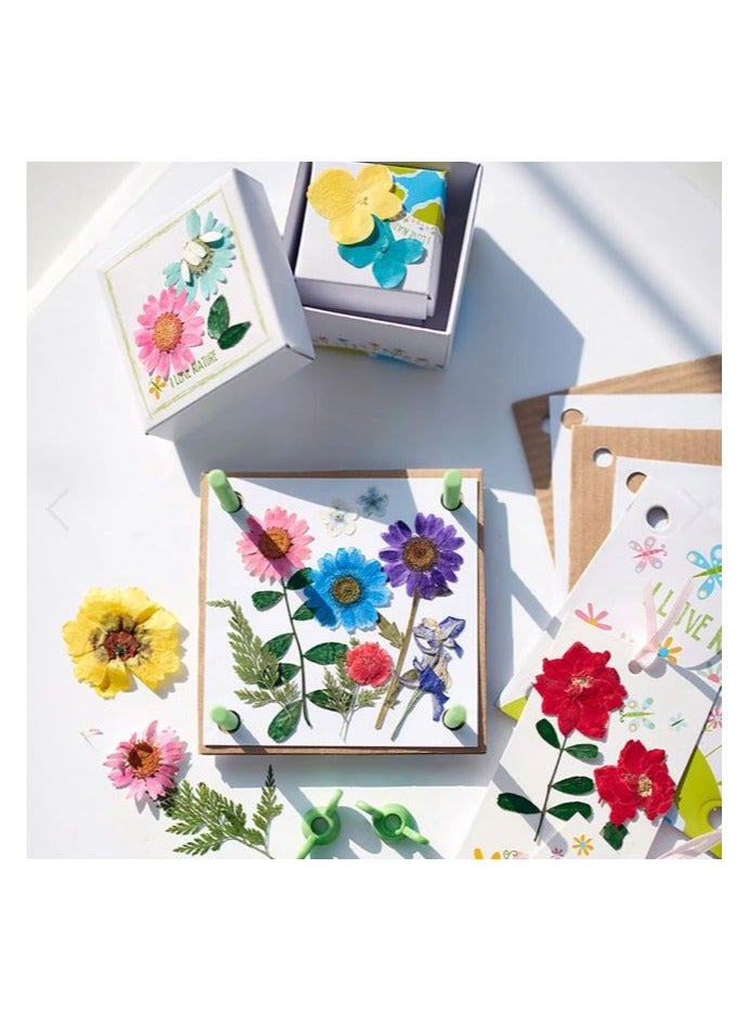 4m مجموعة فن الزهور المضغوطة 4M للإبداع الأخضر - مجموعة حرف يدوية لزهور الضغط للأطفال من عمر 5 سنوات فما فوق | اصنع بطاقات، علامات صفحات وصناديق تذكارية من زهور حقيقية | فن نباتي صديق للبيئة | 00-04567 - Image 2