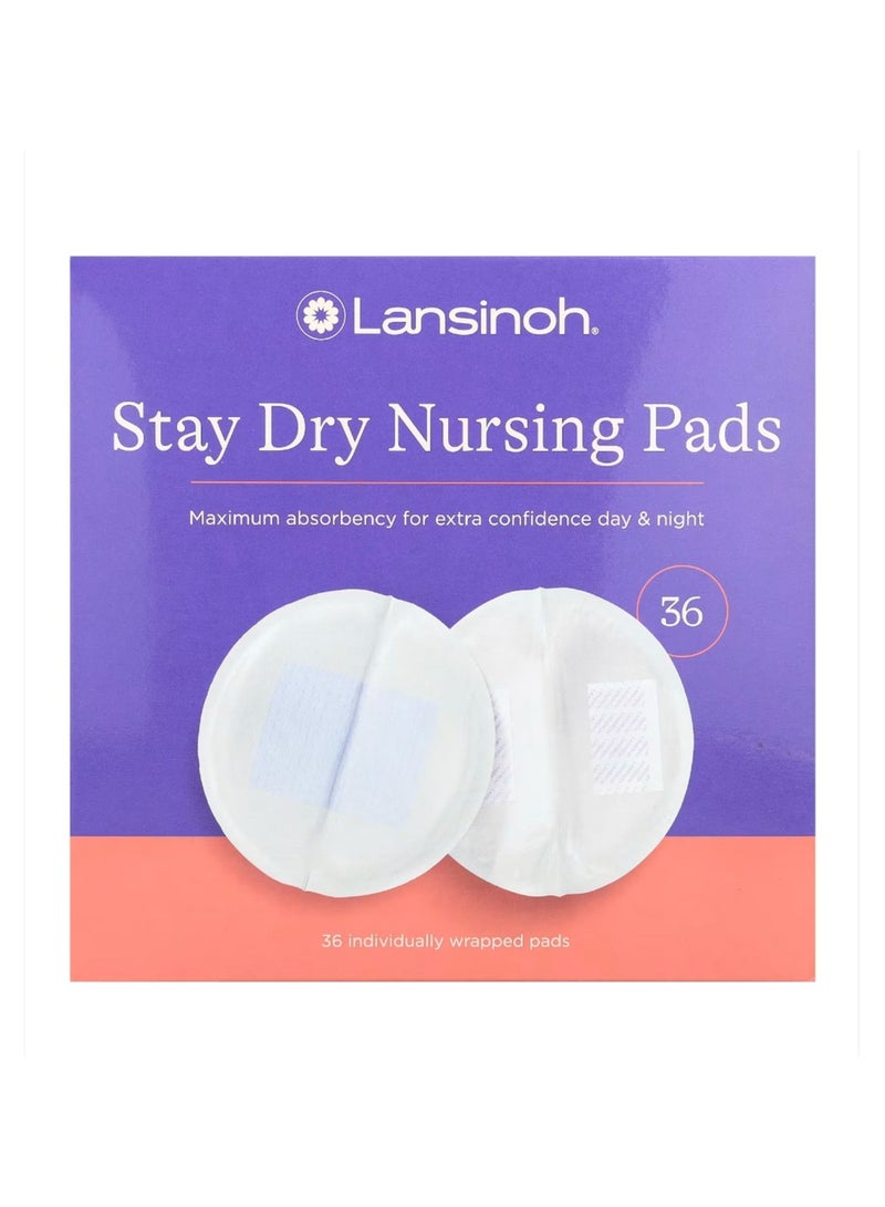 وسادات الرضاعة ستاي دراي 36 وسادة مغلفة بشكل فردي - Image 1