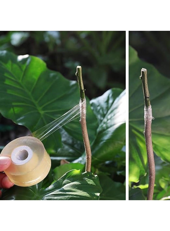ناي شريط تطعيم لاشجار الفاكهة، 3 قطع غشاء زهور قابل للتمدد، 3 الوان مع مرونة مختلفة، شريط اصلاح النباتات - Image 5