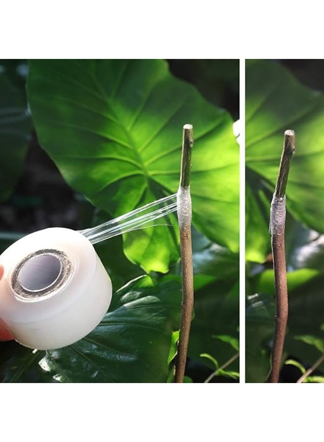 ناي شريط تطعيم لاشجار الفاكهة، 3 قطع غشاء زهور قابل للتمدد، 3 الوان مع مرونة مختلفة، شريط اصلاح النباتات - Image 4