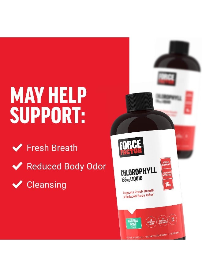Force Factor - Force Factor, Chlorophyll Liquid, Natural Mint, 136 mg, 16 fl oz (473 ml) (136 mg per 2 Tbsp) - Image 1