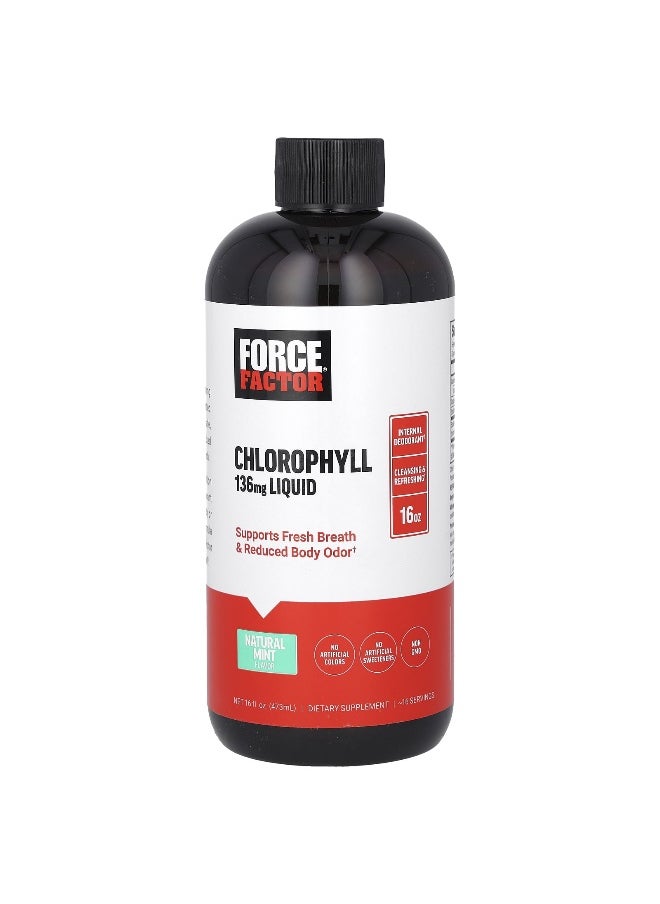 Force Factor - Force Factor, Chlorophyll Liquid, Natural Mint, 136 mg, 16 fl oz (473 ml) (136 mg per 2 Tbsp) - Image 1