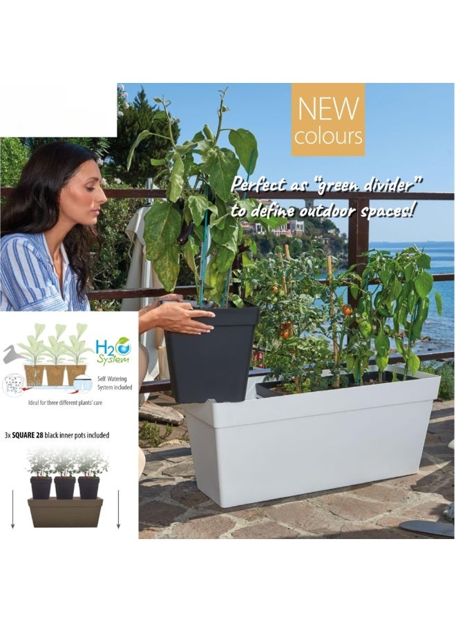 IDEL Rectangular Self Watering Planter Box – Large Plastic Flower Pot with 3 Divided Compartments – Indoor & Outdoor Plant Pot for Balcony, Garden, Herbs & Vegetables – Smart Flowerbox -  Made in Italy - Image 2