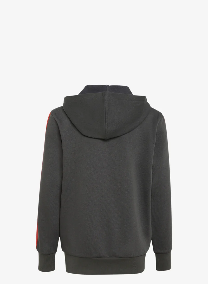 Adidas AUDI REVOLUT F1 TEAM DNA FULL ZIP HOODIE