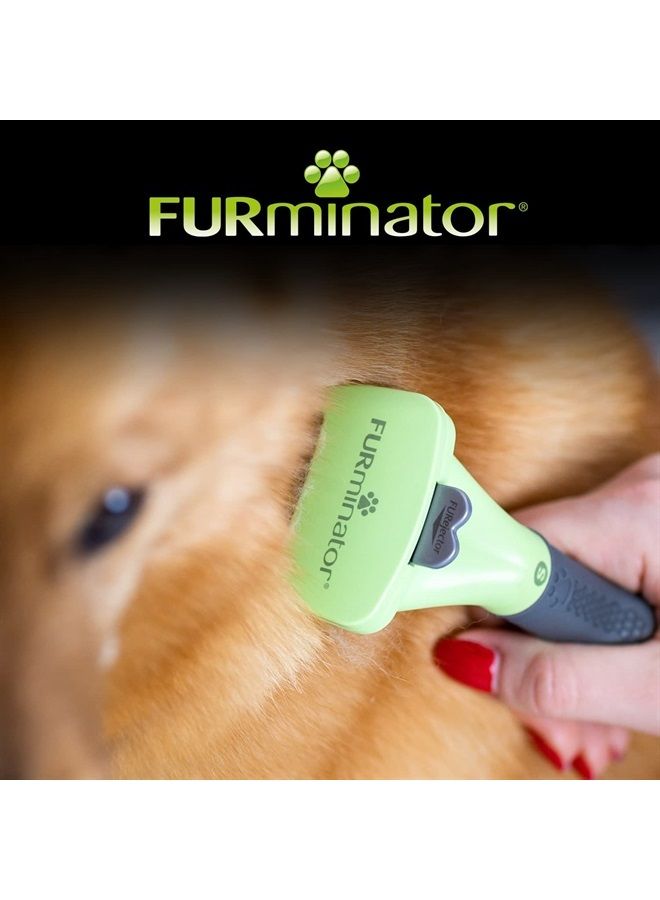 FURminator Undercoat deShedding Tool for Small Long Hair Dogs 4.5-9 kg Clear - Image 2