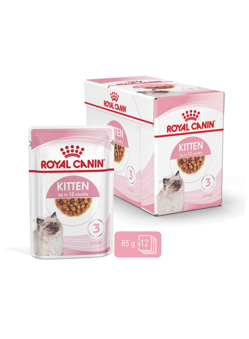 ROYAL CANIN التغذية الصحية قطع القطط الصغيرة في المرق 12x85 جرام - Image 1