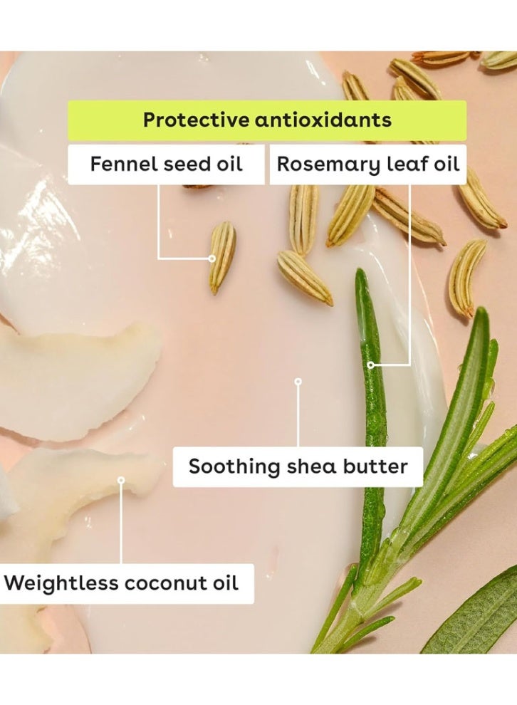 EOS 100 Natural Organic Lip Balm, Strawberry, Sorbet, Vanilla Bean, Sweet Mint, Pomegranate, Raspberry, Lip Care Products, 014 oz - Image 4