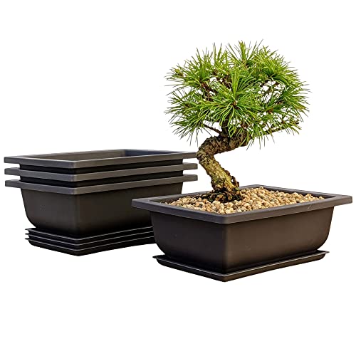 Bonsai Outlet Training Pots with Humidity Trays - Built in Mesh, Six Inch Large Planters + Made from Durable Shatter Proof Poly-Resin, Set of 3 Pot Set… - Image 1