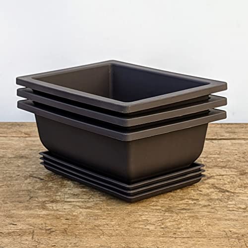 Bonsai Outlet Training Pots with Humidity Trays - Built in Mesh, Six Inch Large Planters + Made from Durable Shatter Proof Poly-Resin, Set of 3 Pot Set… - Image 2