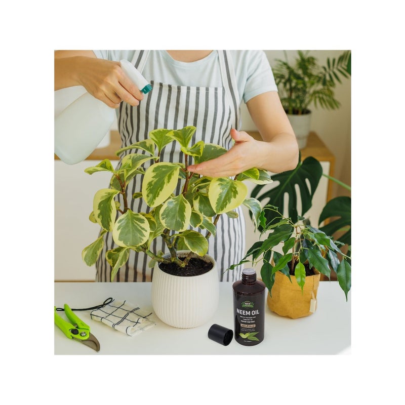زيت النيم Vgrow Prime للنباتات، تحكم فعال في الآفات والفطريات للنباتات الداخلية والحديقة المنزلية، مركز قابل للذوبان في الماء 200 مل - Image 3