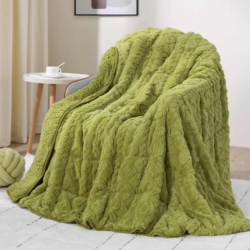 Drewin Weighted Blanket Queen Size 15 lbs, Dual Sided Soft Fuzzy Jacquard Sherpa Bed Blankets with Ceramic Beads, Ultra Fuzzy and Thick Winter Weighted Blanket, 60 x 80 inches, Grass Green - Image 1