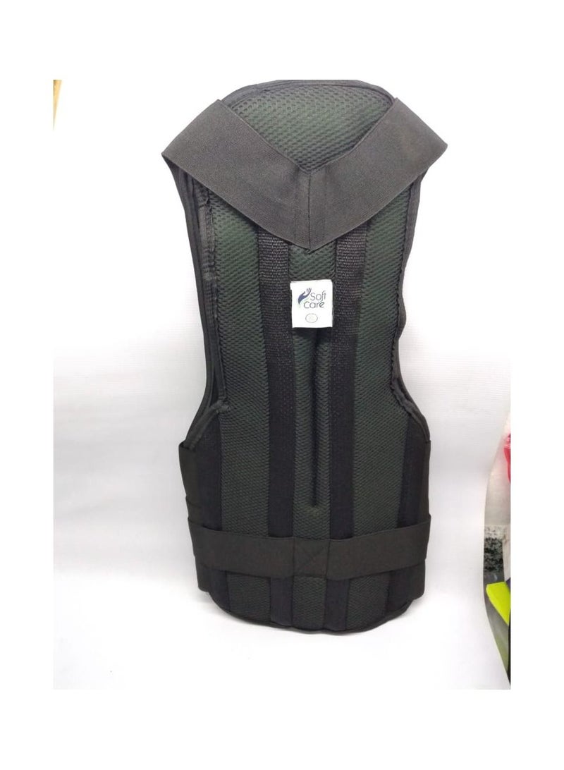 SOFTCARE dorsolumbar large - Image 1