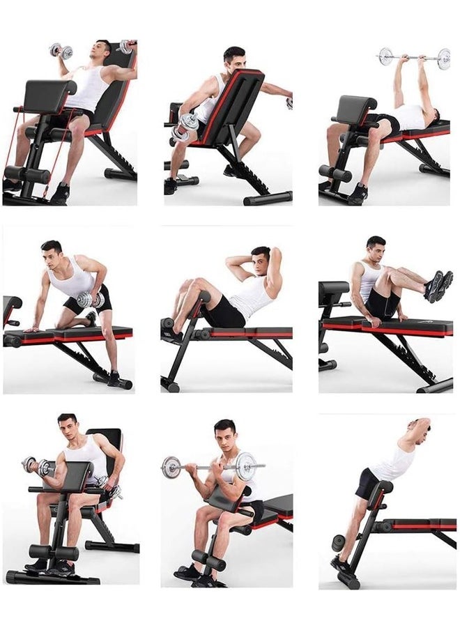 Fitness World - Folding and adjustable multi-use exercise and weight lifting bench, Knight model - Image 1