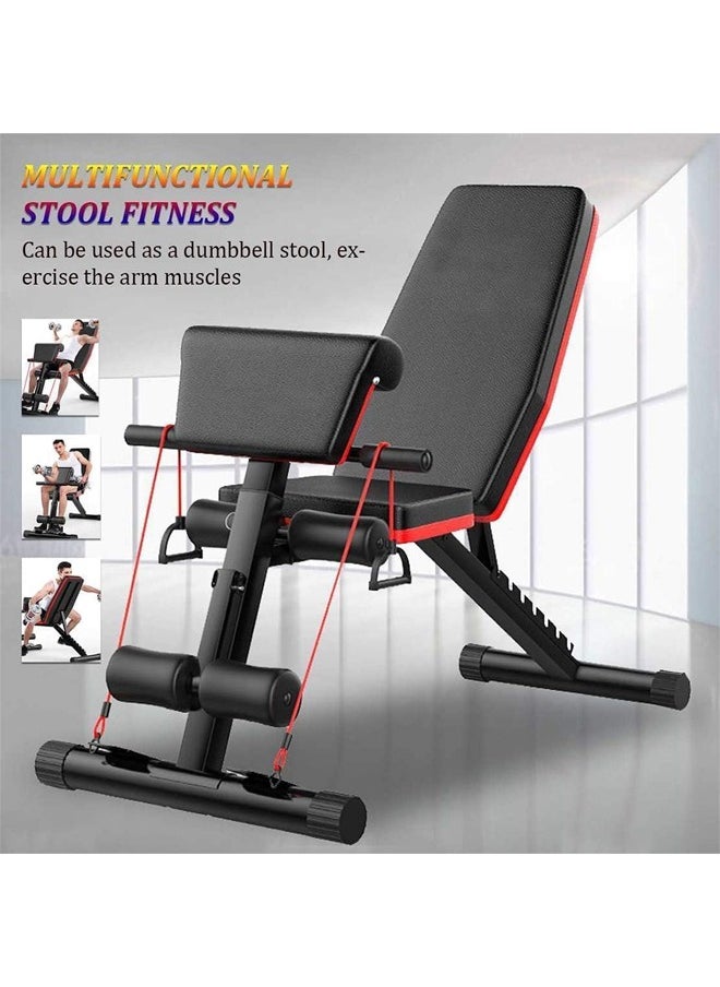 Fitness World - Folding and adjustable multi-use exercise and weight lifting bench, Knight model - Image 1