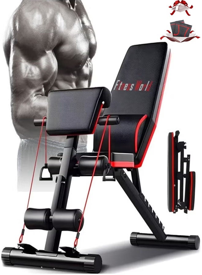 Fitness World Folding and adjustable multi-use exercise and weight lifting bench, Knight model - Image 1