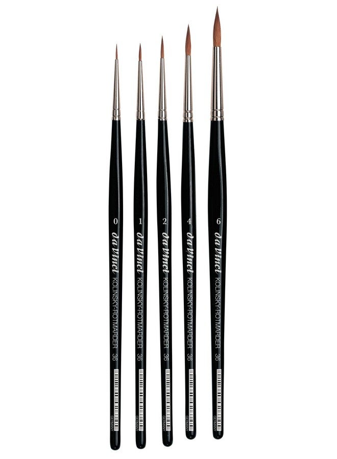 دافينشي فرش دافنشي 5359 مجموعة دافنشي المائية الحمراء الروسية السمور 5359 5 فرشاة تتضمن سلسلة 36 مقاس 0 1 2 4 و 6 شكل دائري أسود - Image 1