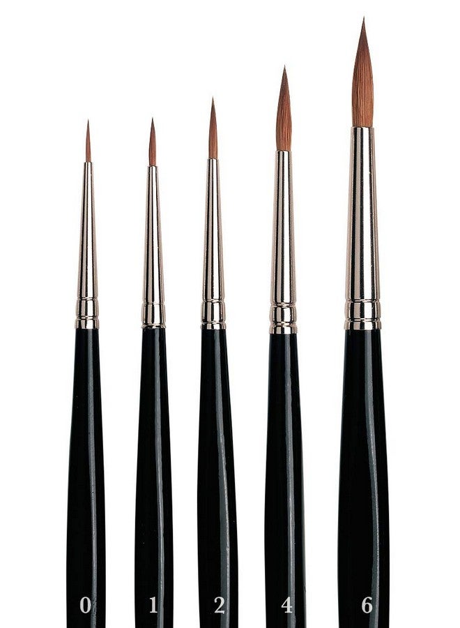 دافينشي فرش دافنشي 5359 مجموعة دافنشي المائية الحمراء الروسية السمور 5359 5 فرشاة تتضمن سلسلة 36 مقاس 0 1 2 4 و 6 شكل دائري أسود - Image 2