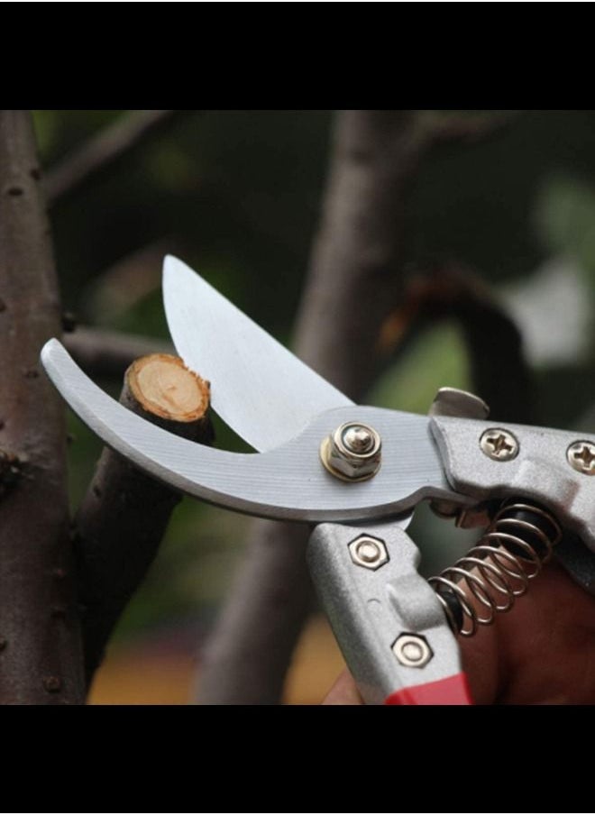 Generic - Stainless steel Pruning Shears Best Tree Trimmer Garden Shears - Image 1
