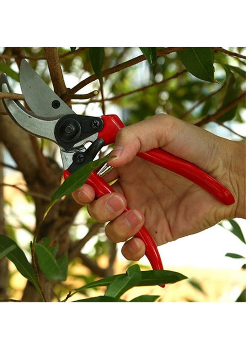 Generic - Stainless steel Pruning Shears Best Tree Trimmer Garden Shears - Image 1