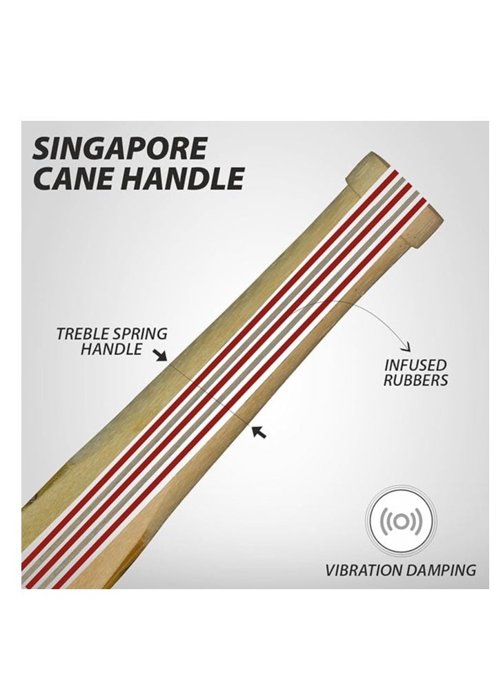 DSC - Drake Cricket Bat  (Size - 5) | Material: Kashmir Willow | Lightweight | Free Cover | Ready to play | For Intermediate Player - Image 1