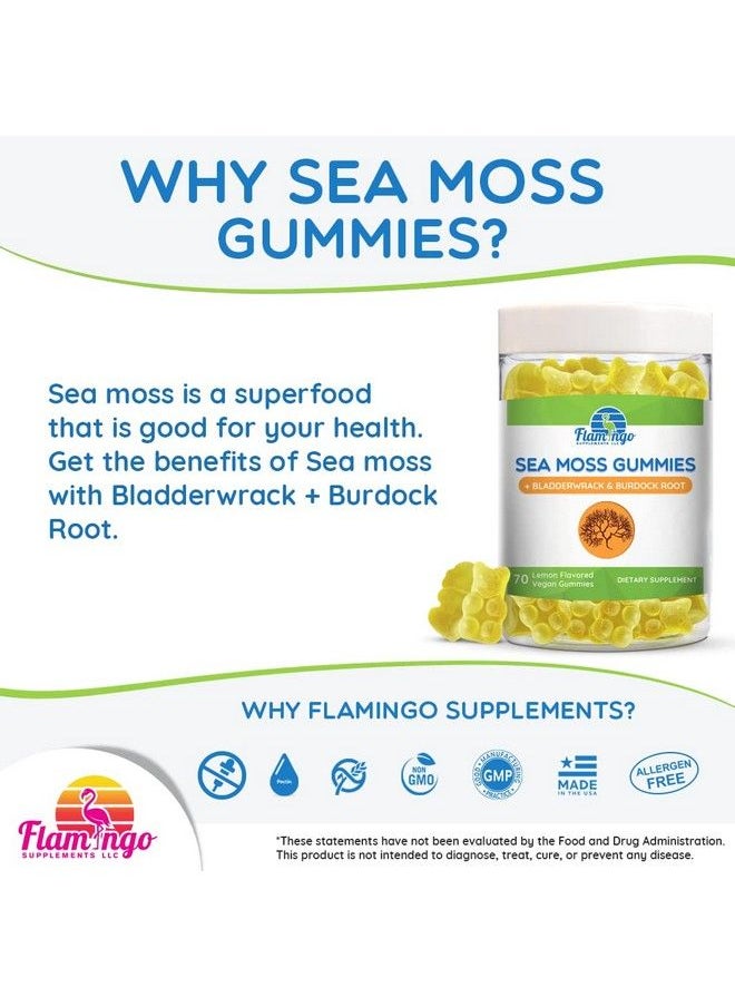Flamingo Supplements - Sea Moss Gummies Plus Organic Bladderwrack And Burdock Root. Tasty Alternative To Sea Moss Capsules Sea Moss Gel And Drops. Advanced Super Food 70 Irish Sea Moss Supplement For Adults & Kids. - Image 1