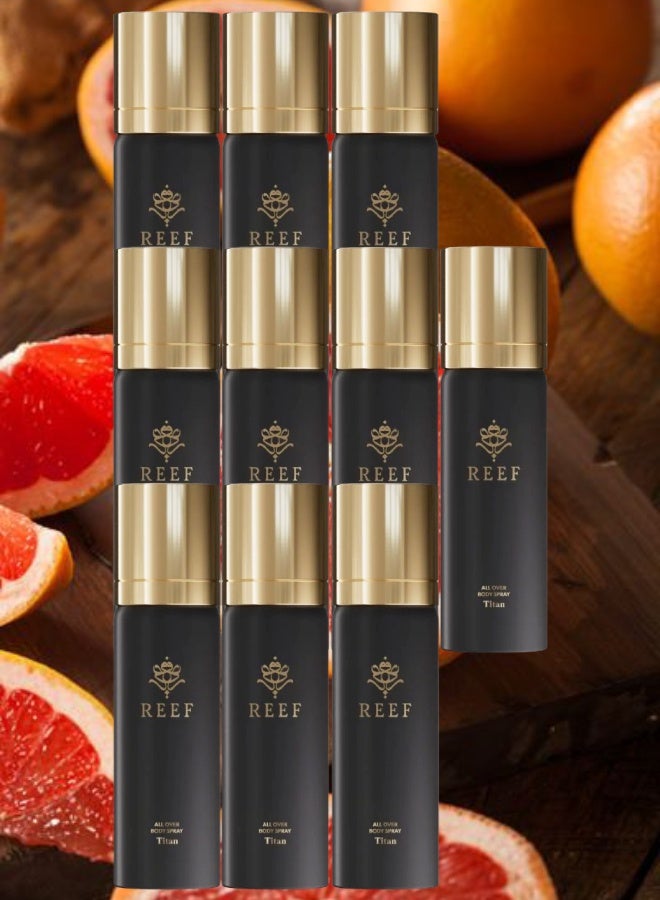 ريف 10 قطع بخاخ جسم تايتن 125مل - Image 1