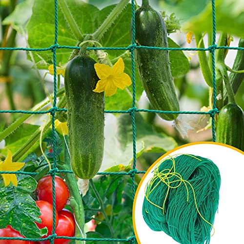 WNE Jaliwale Plant Climbing net & Creeper Net & Plant Trellis Net Plant Support Net Green Color for Agriculture and Gardening Net - 6Feet x 9Feet - Image 1