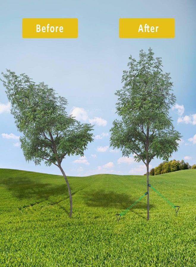 FCENDS Tree Stake Kit, Heavy Duty Spiral Tree Stakes and Supports for Straightening Leaning or Young Trees, Protects from Harsh Weather - Image 2