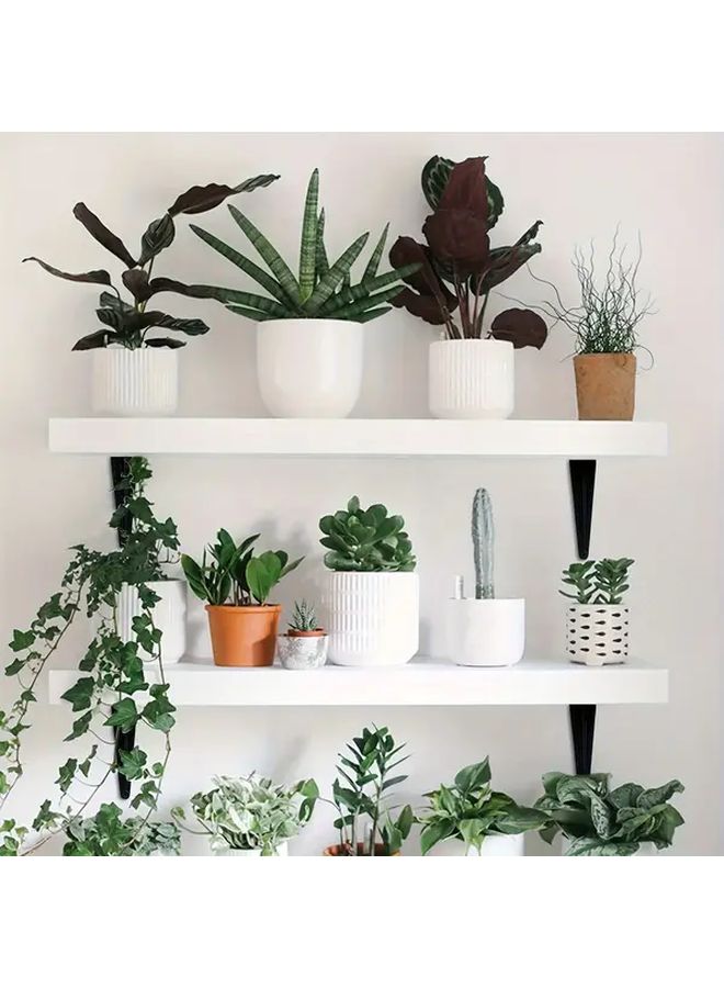 12 Pack 8 Inch Heavy Duty Black Iron Floating Shelf Brackets Industrial Vintage - Image 4