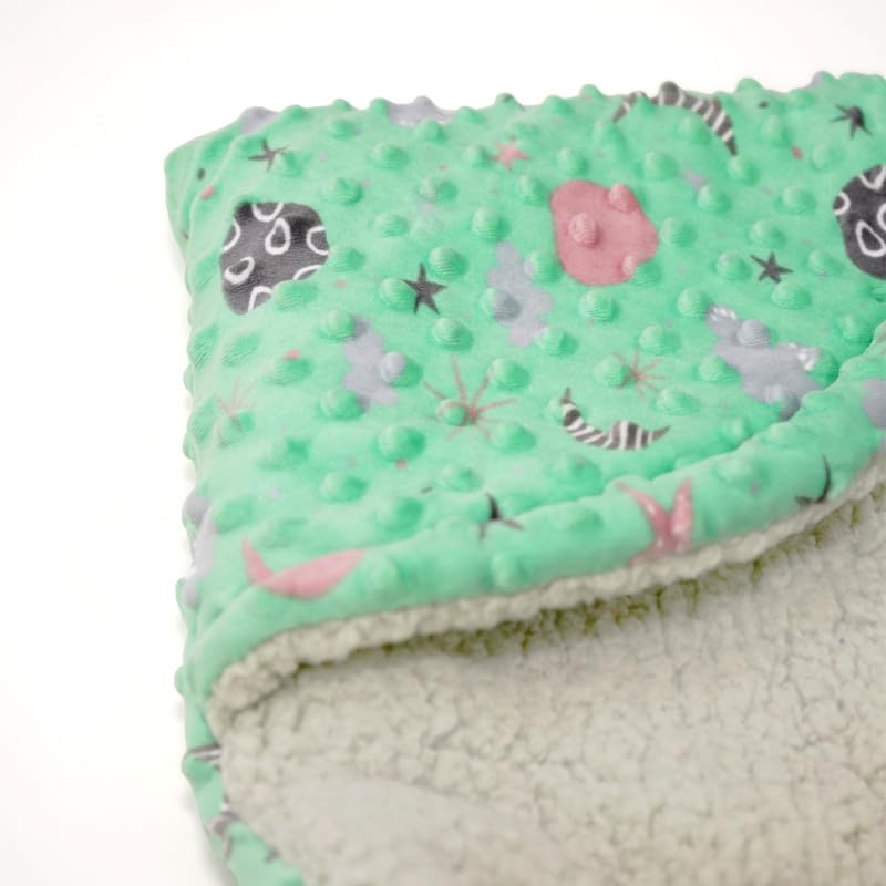 Florida Florida All Season Hooded Baby Blanket Swaddler Wrapper Flannel Soft and Comfortable for New Born Baby Girls and Boys-Wrap Sea Green - Image 2