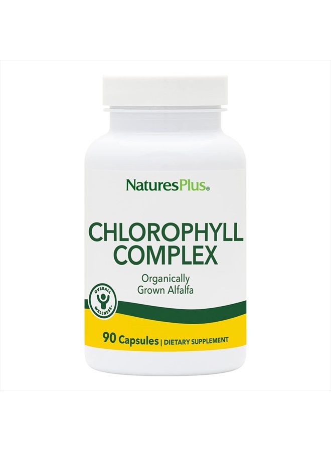 Nature's Plus NaturesPlus Chlorophyll Complex - 90 Vegetarian Capsules - Nutritional Support for General Well-Being - Vegan - 45 Servings - Image 1