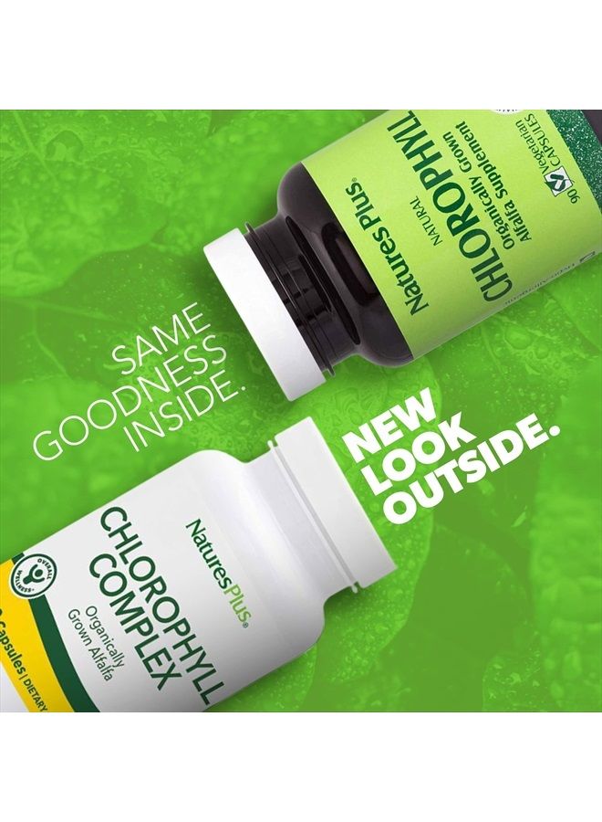 Nature's Plus NaturesPlus Chlorophyll Complex - 90 Vegetarian Capsules - Nutritional Support for General Well-Being - Vegan - 45 Servings - Image 3